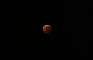 221108_0160_ana_eclipse_rjaa-640