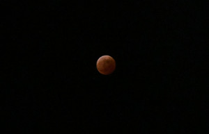 221108_0160_ana_eclipse_rjaa-720