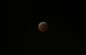 221108_0178_ana_eclipse_rjaa-720