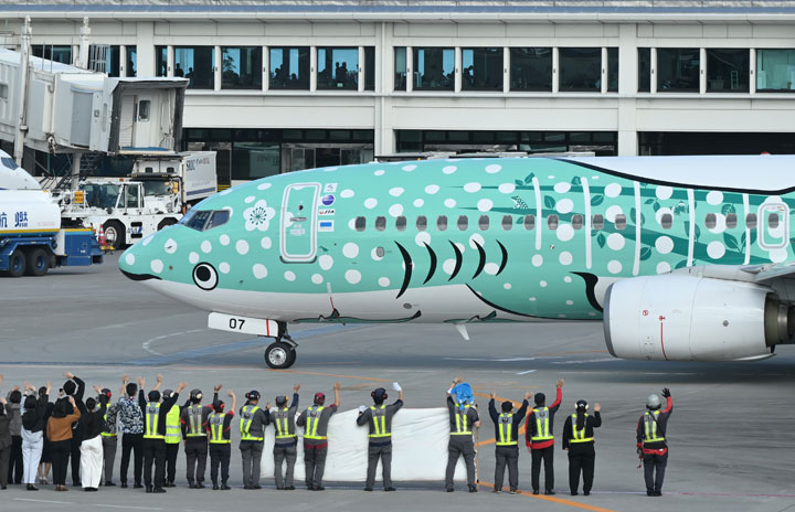 JTA、濃緑の「結ジンベエ」就航 那覇にジンベエジェット3機勢ぞろい
