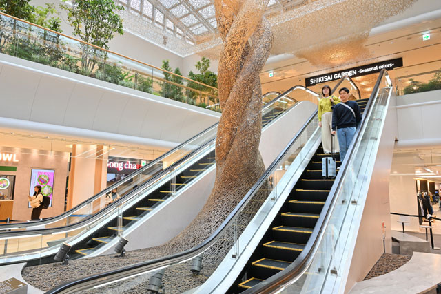 260407_0032_naa_rjaa-640